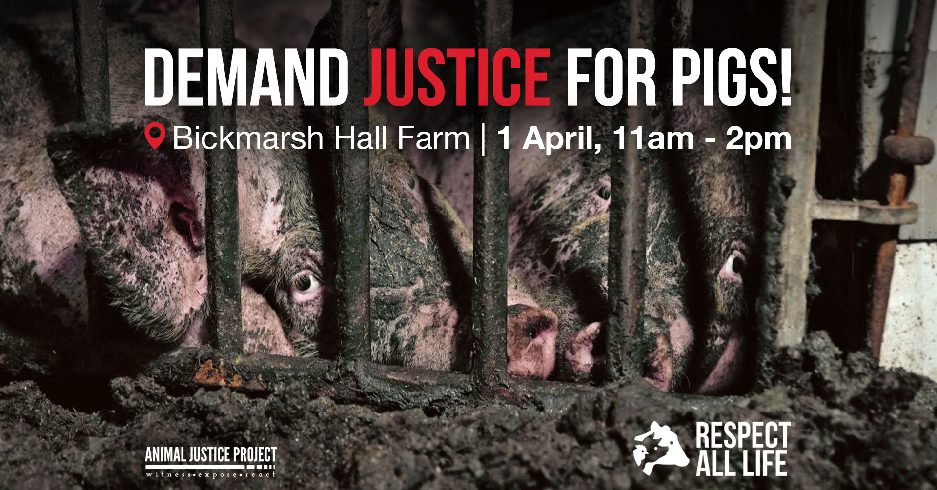 Animal Justice Project