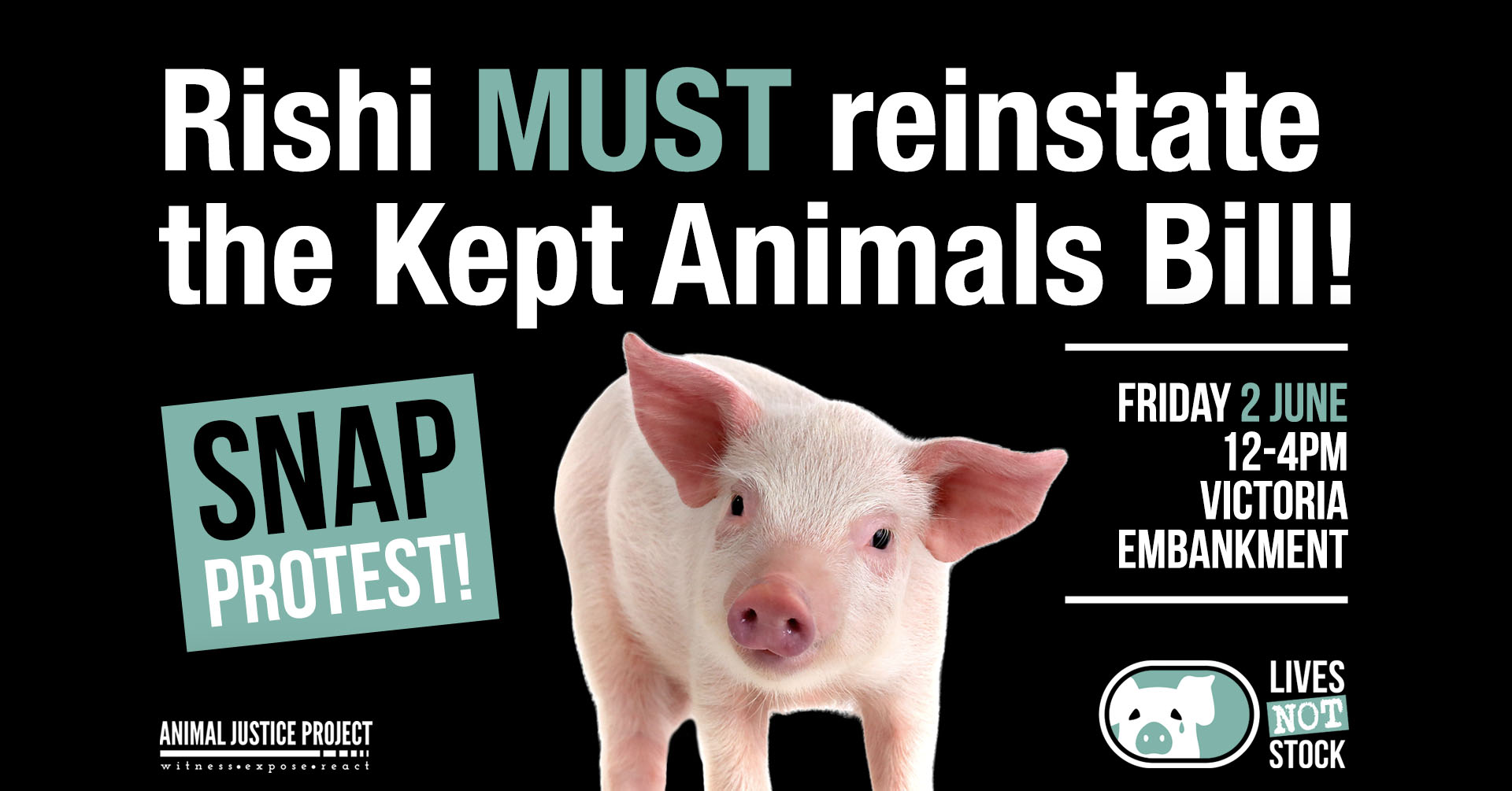 Animal Justice Project