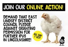 Animal Justice Project