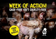 Animal Justice Project