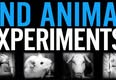 Animal Justice Project
