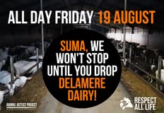 Animal Justice Project