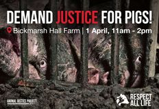 Animal Justice Project