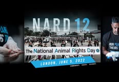 Animal Justice Project