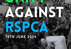 Animal Justice Project