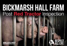 Animal Justice Project