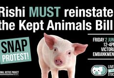 Animal Justice Project