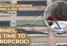 Animal Justice Project