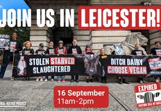 Animal Justice Project