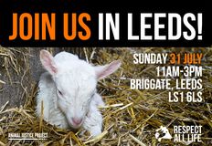 Animal Justice Project