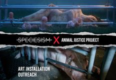 Animal Justice Project