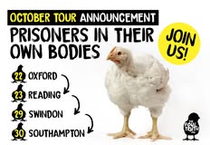 Animal Justice Project