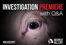 Animal Justice Project