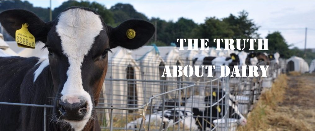Swindon Animal Rights