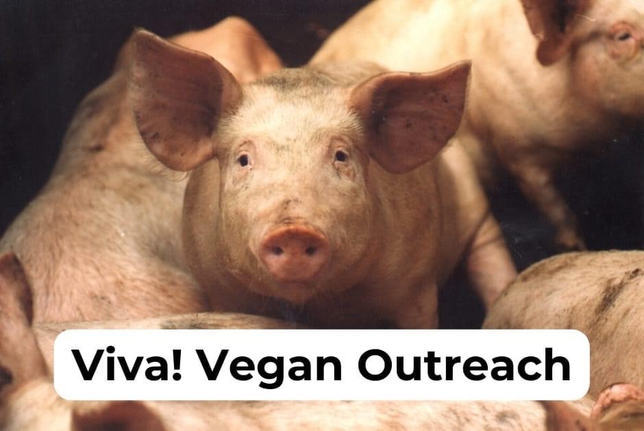 Swindon Animal Rights