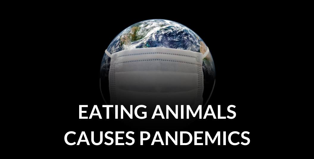 Swindon Animal Rights