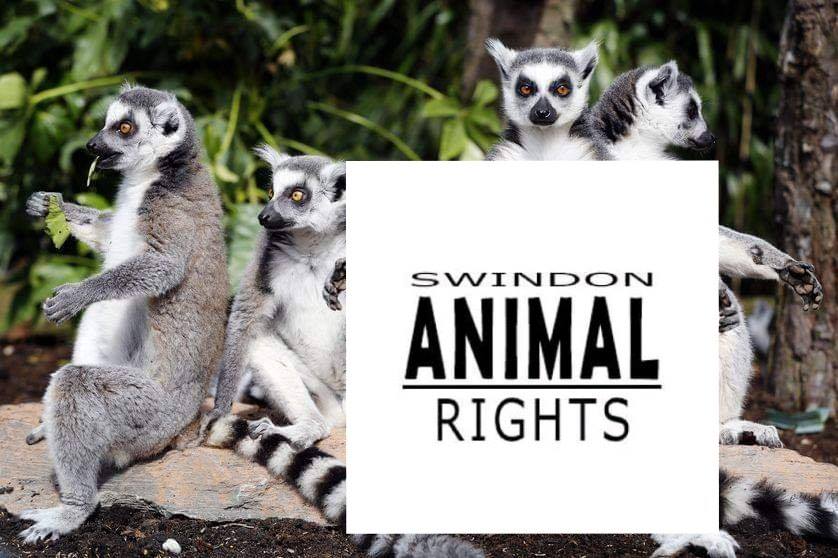 Swindon Animal Rights