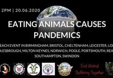 Swindon Animal Rights
