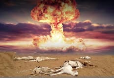 Swindon Animal Rights