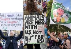 Swindon Animal Rights