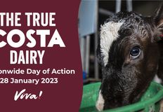 Swindon Animal Rights