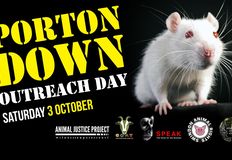 Swindon Animal Rights