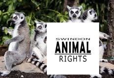 Swindon Animal Rights
