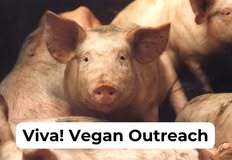 Swindon Animal Rights