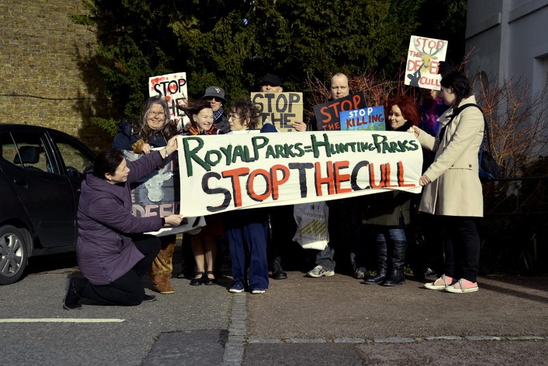 Stop the Wildlife Cull - Royal Parks and Home Park