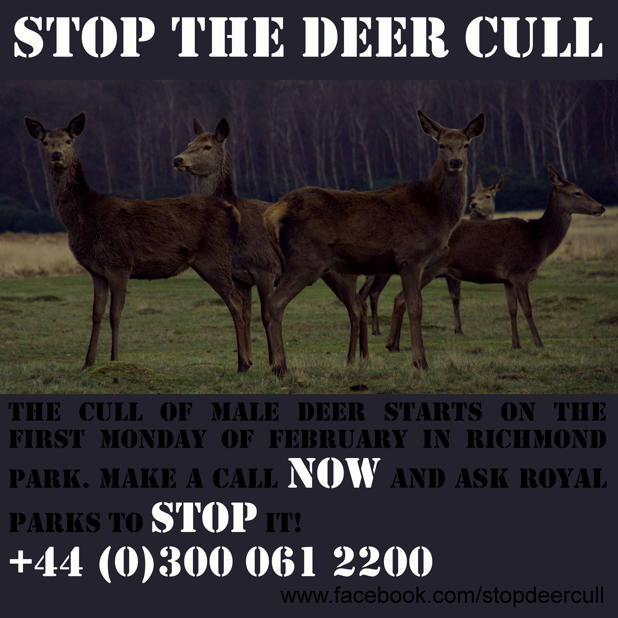 Stop the Wildlife Cull - Royal Parks and Home Park