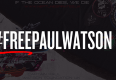 Captain Paul Watson Foundation