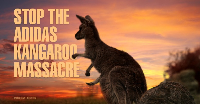 Fur Free