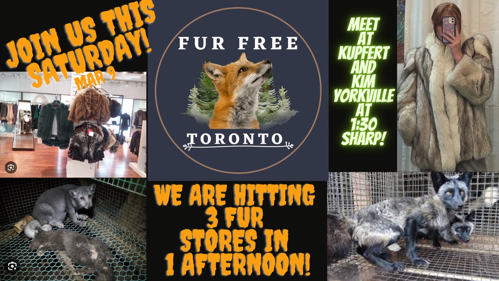 Fur Free