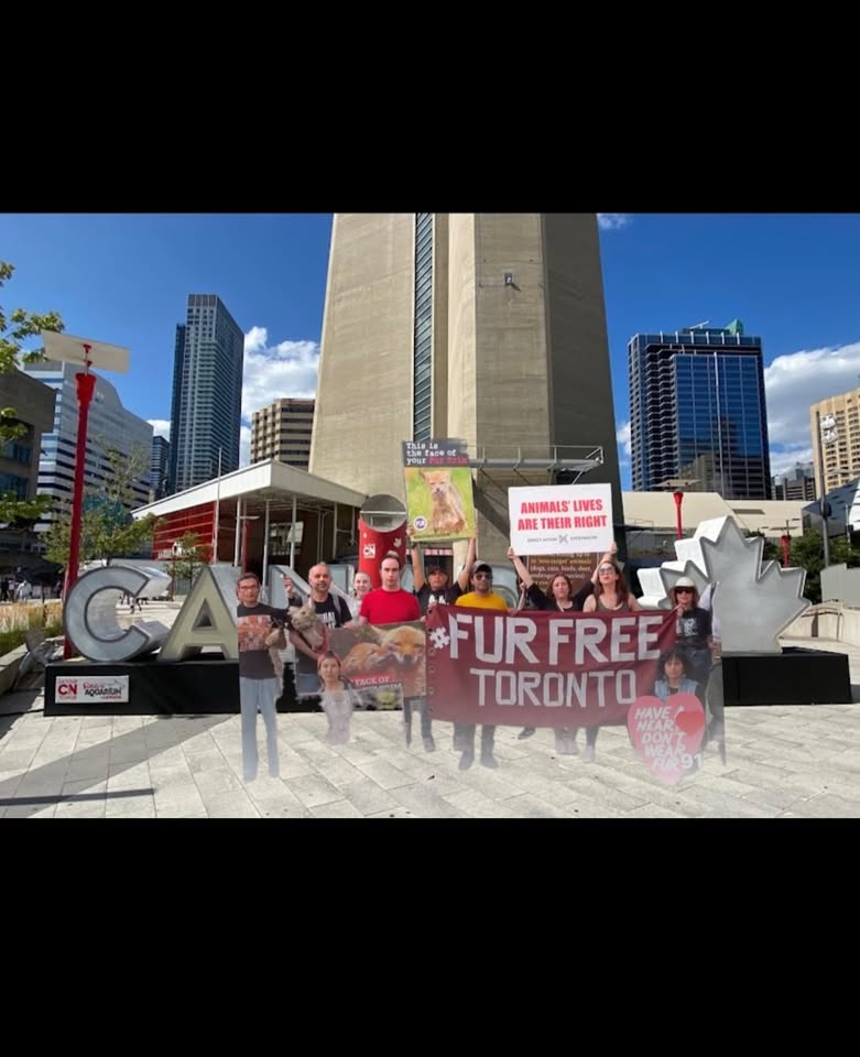 Fur Free