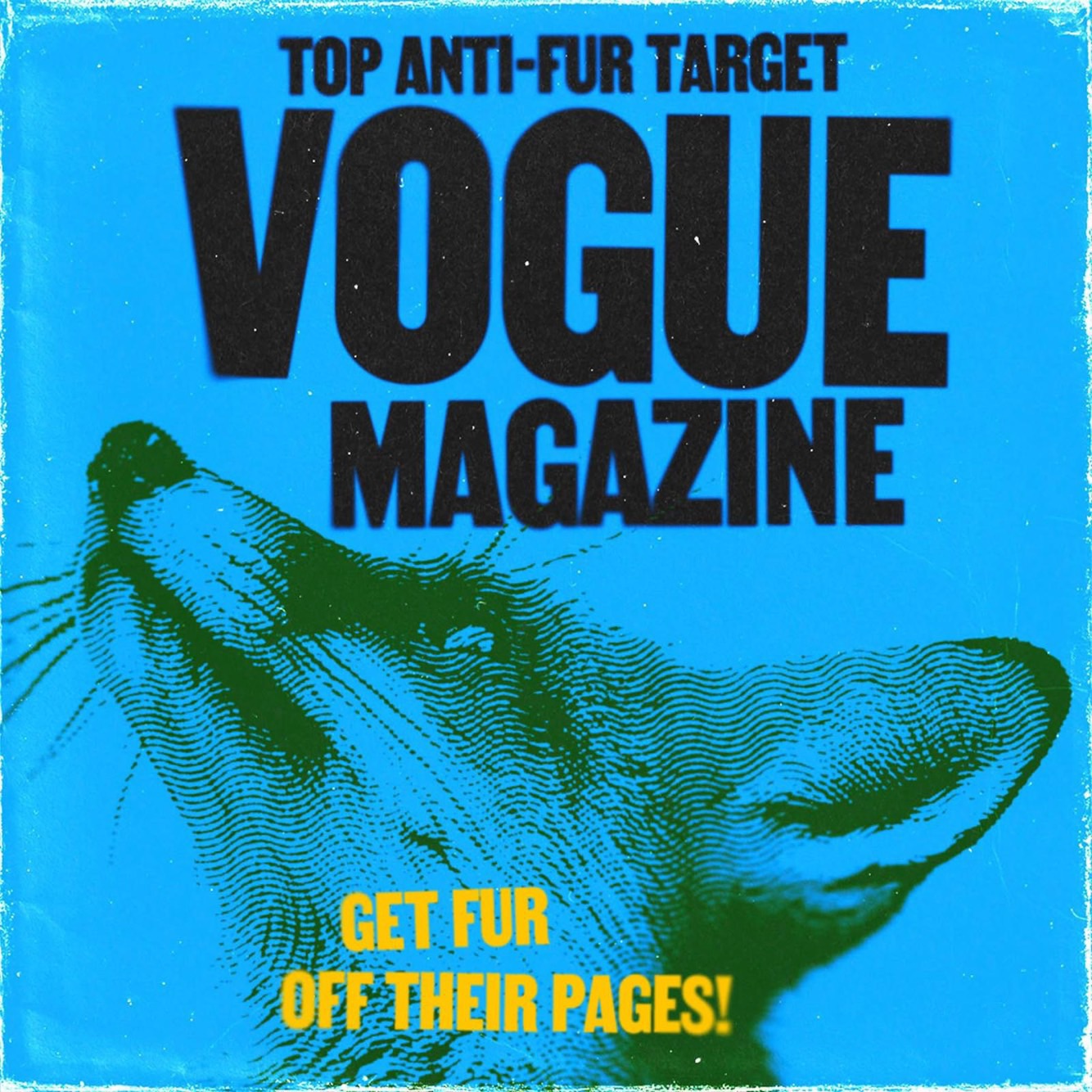 Fur Free