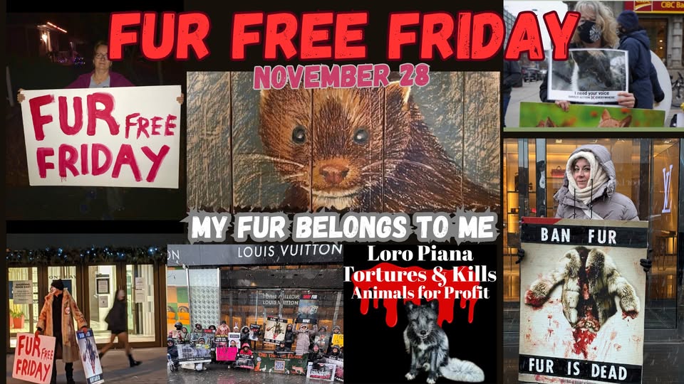Fur Free