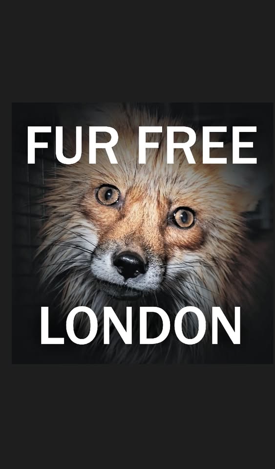 Fur Free