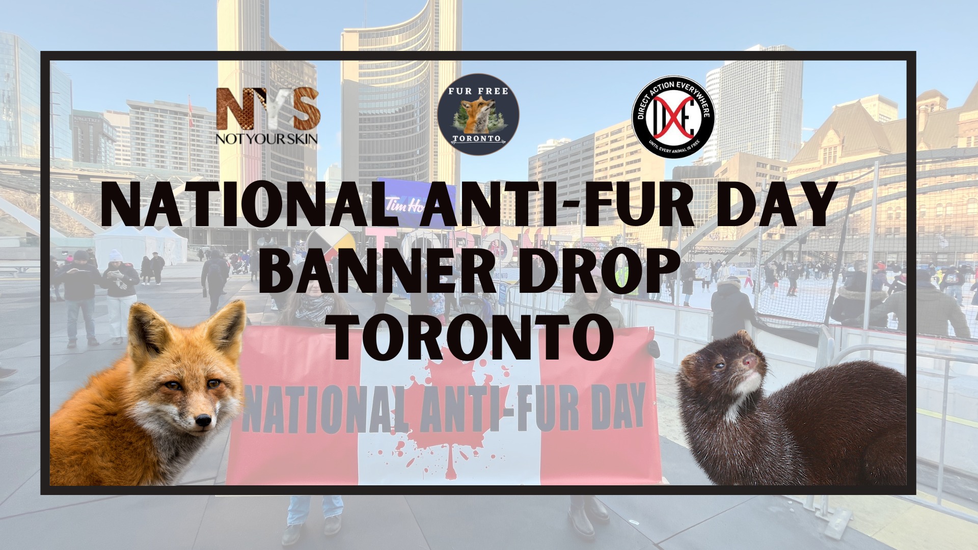 Fur Free