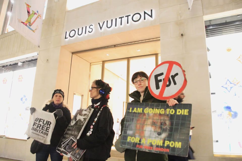 Fur Free