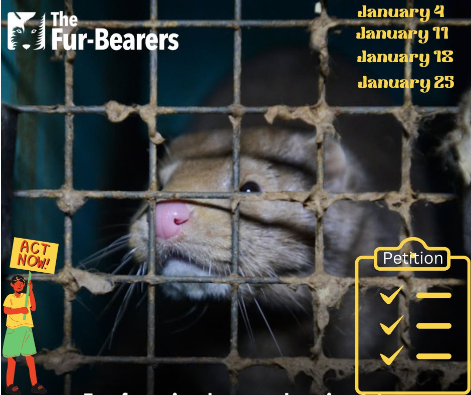 Fur Free