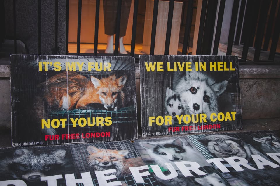 Fur Free