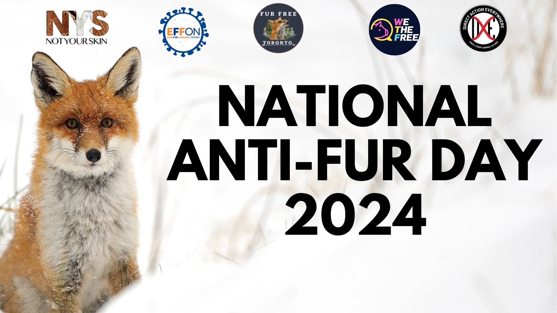 Fur Free