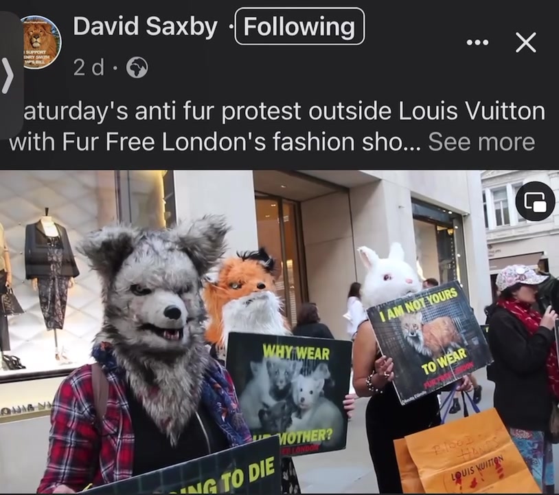 Fur Free