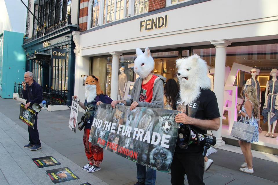 Fur Free
