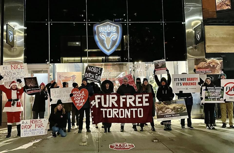 Fur Free