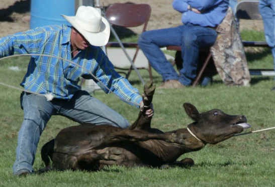 SoFlo Animal Rights