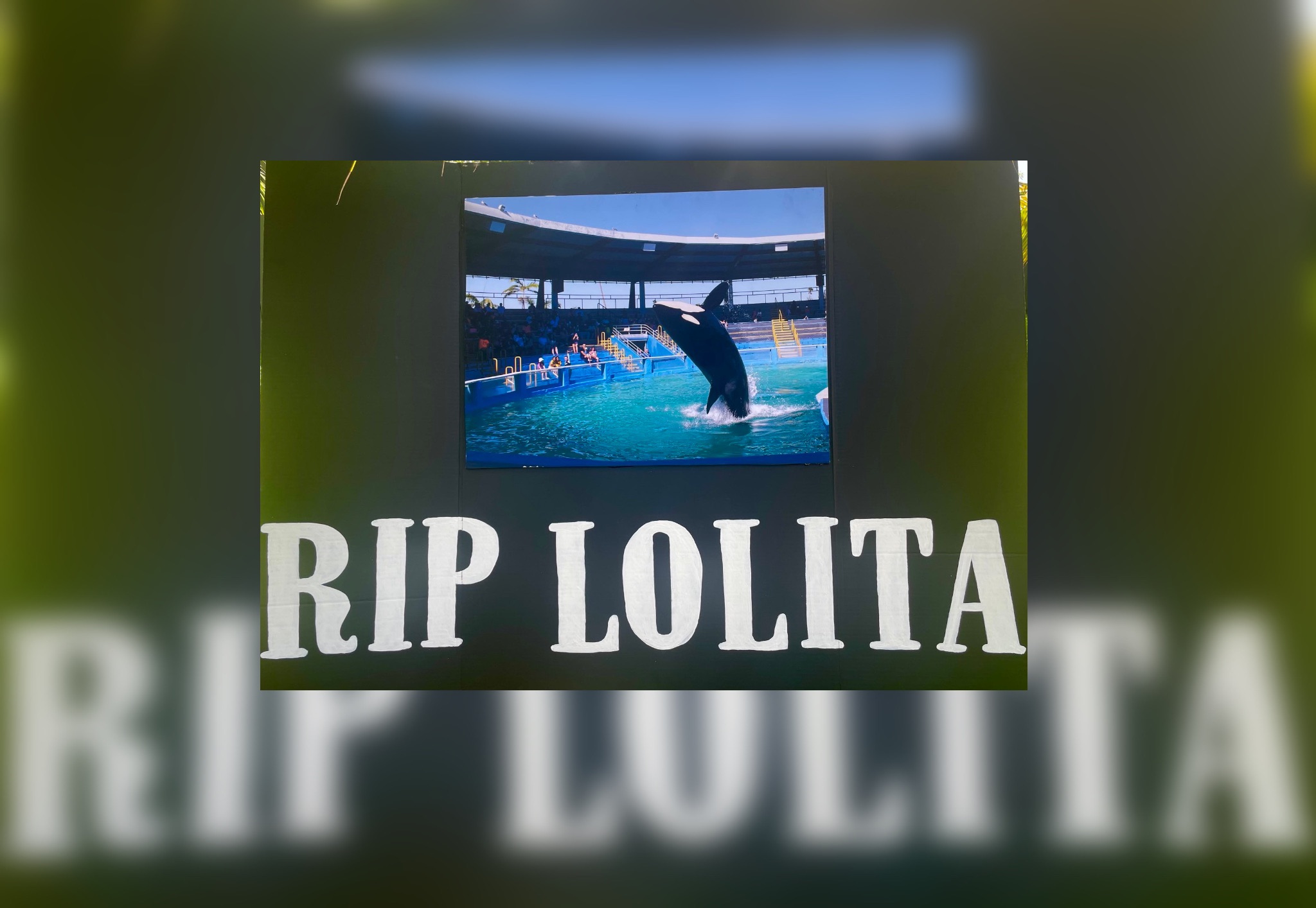 SoFlo Animal Rights