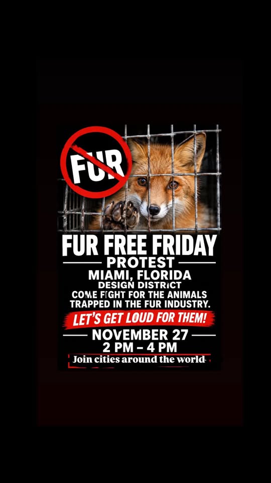 SoFlo Animal Rights