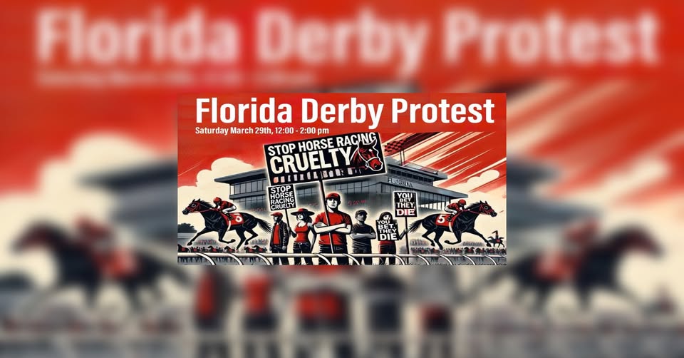 SoFlo Animal Rights