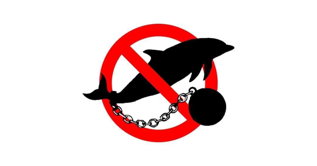 SoFlo Animal Rights